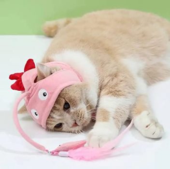Funny Cat Head Toy