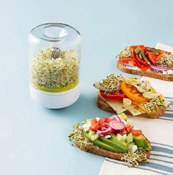 Seed Sprout Garden Kit